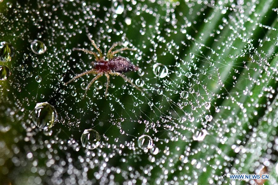 WEEKLY CHOICES OF XINHUA PHOTO