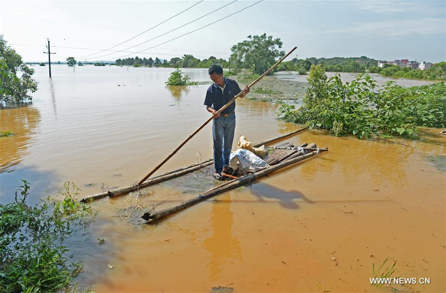  About 5,600 people and more than 667 hectares of farmlands were affected. 
