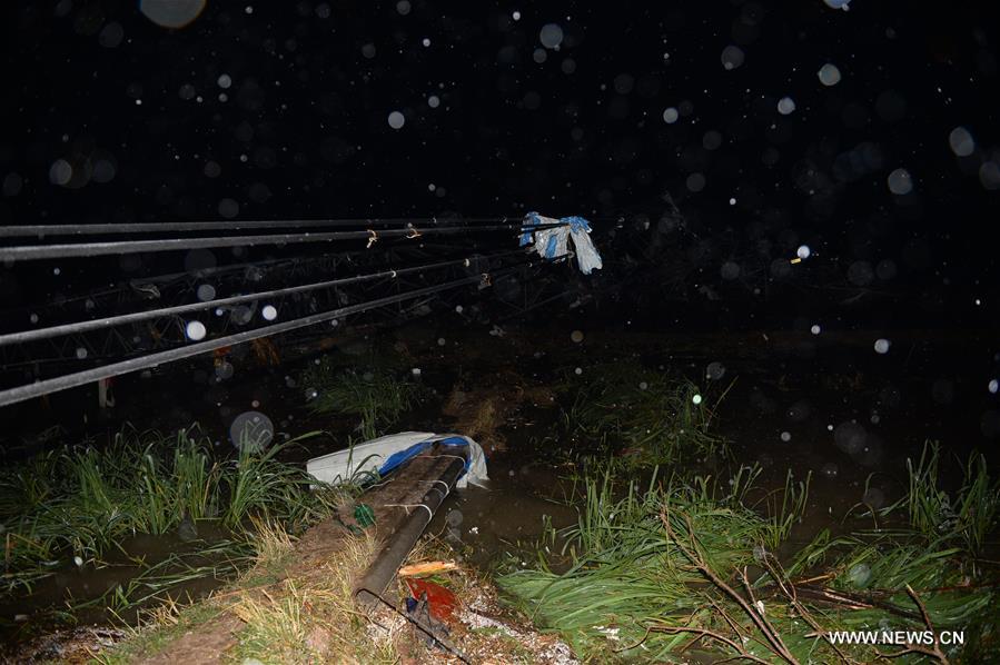 Nearly 500 people were injured, 200 critically. (CN) Nearly 500 people were injured, 200 critically. (CN)