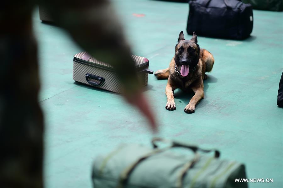 #CHINA-GUANGDONG-SHENZHEN-DRUG-SNIFFING DOG (CN)