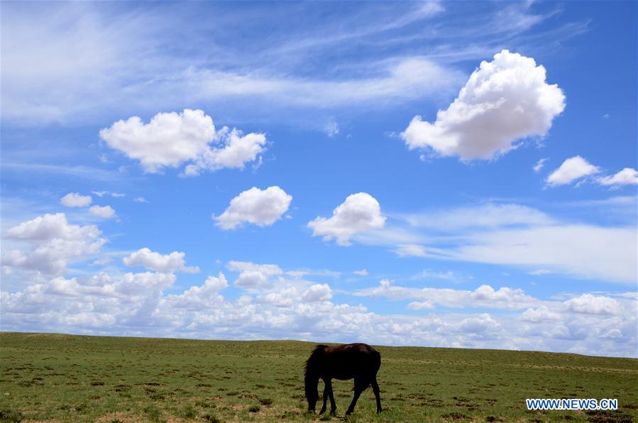 #CHINA-INNER MONGOLIA-BAYAN NUR-GRASSLAND (CN)