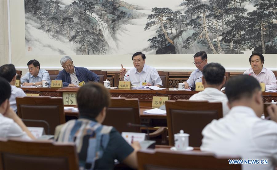 CHINA-BEIJING-ZHANG DEJIANG-NPC-GROUP DELIBERATION (CN) 