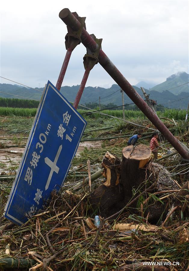 CHINA-GUANGXI-LUOCHENG-FLOOD (CN)