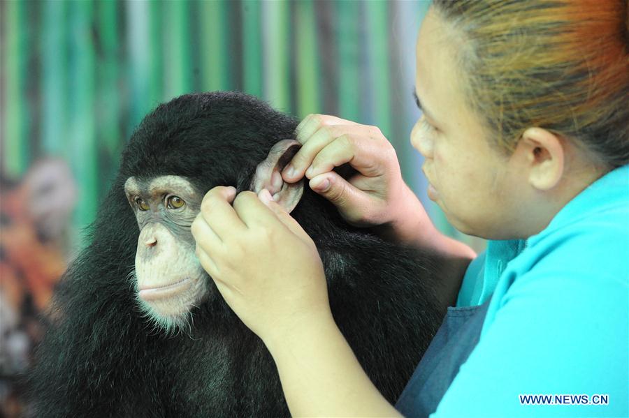 A boy looks at parrots at Samut Prakarn Crocodile Farm and Zoo in Samut Prakarn province, Thailand, July 7, 2016. A boy looks at parrots at Samut Prakarn Crocodile Farm and Zoo in Samut Prakarn province, Thailand, July 7, 2016.