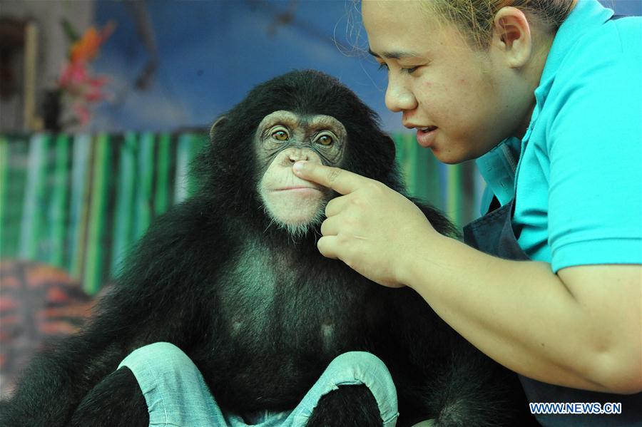 A boy looks at parrots at Samut Prakarn Crocodile Farm and Zoo in Samut Prakarn province, Thailand, July 7, 2016. A boy looks at parrots at Samut Prakarn Crocodile Farm and Zoo in Samut Prakarn province, Thailand, July 7, 2016.
