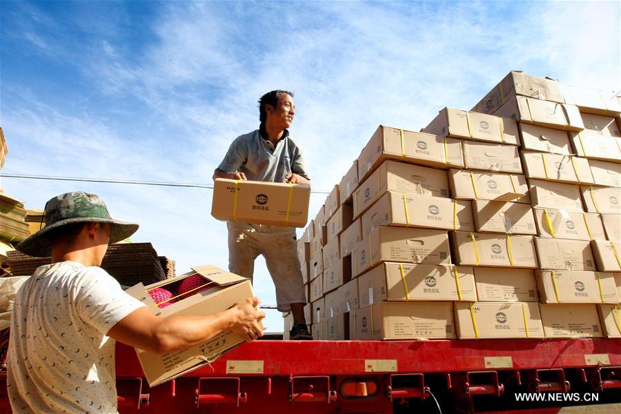 The city started a cooperation with China Postal Airlines this year to transport Hami melons and to expand a new agricultural products transportation channel. The city started a cooperation with China Postal Airlines this year to transport Hami melons and to expand a new agricultural products transportation channel.