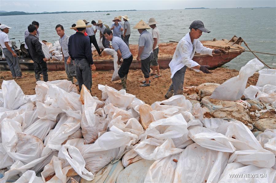 CHINA-JIANGXI-FLOOD-DIKE REINFORCEMENT (CN)