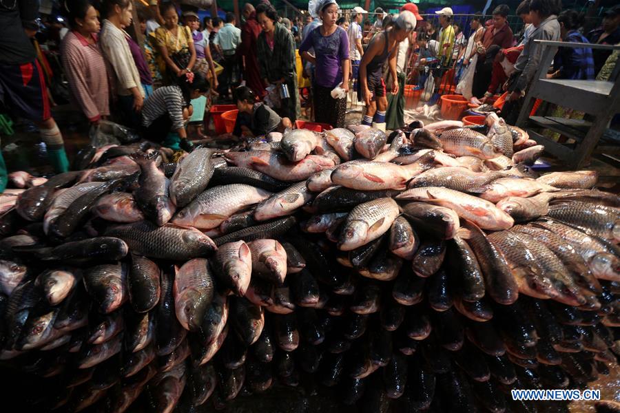MYANMAR-YANGON-FISH MARKET