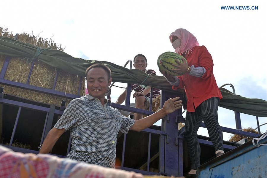 CHINA-NINGXIA-ZHONGWEI-ECONOMY-WATERMELON (CN)