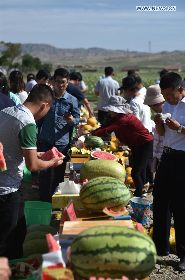 CHINA-NINGXIA-ZHONGWEI-ECONOMY-WATERMELON (CN)