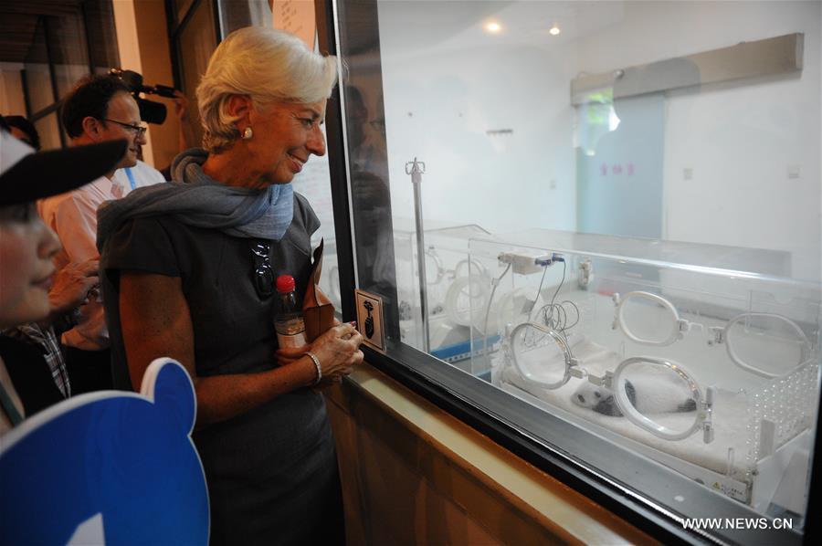 Christine Lagarde, managing director of the International Monetary Fund (IMF), pays a visit to Chengdu Research Base of Giant Panda Breeding, southwest China's Sichuan Province, July 24, 2016. (Xinhua) Christine Lagarde, managing director of the International Monetary Fund (IMF), pays a visit to Chengdu Research Base of Giant Panda Breeding, southwest China's Sichuan Province, July 24, 2016. (Xinhua)