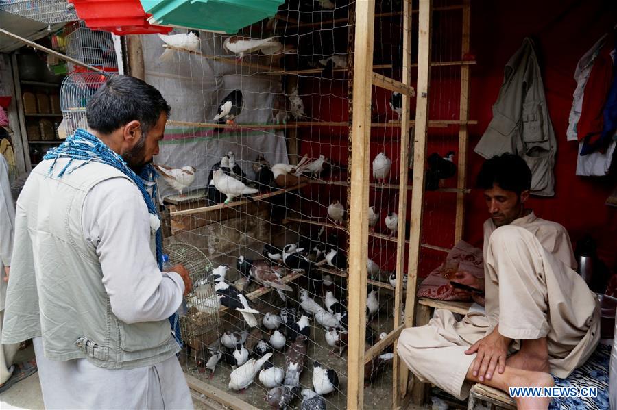 An Afghan vendor waits for customers at a bird shop in Kabul, capital of Afghanistan, on July 26, 2016.