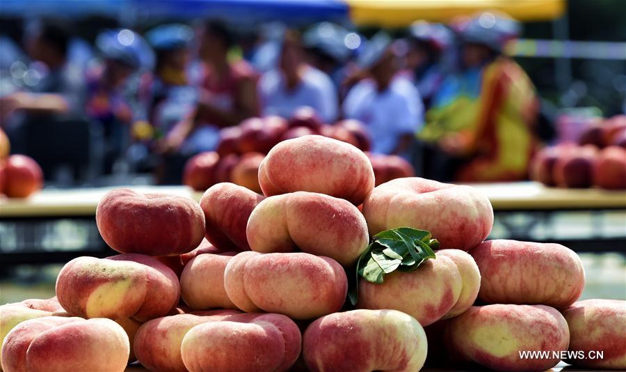 CHINA-BEIJING-PINGGU-PEACH FAIR (CN)