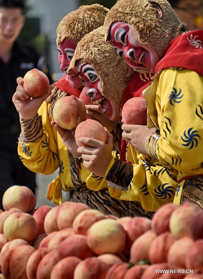 CHINA-BEIJING-PINGGU-PEACH FAIR (CN) 