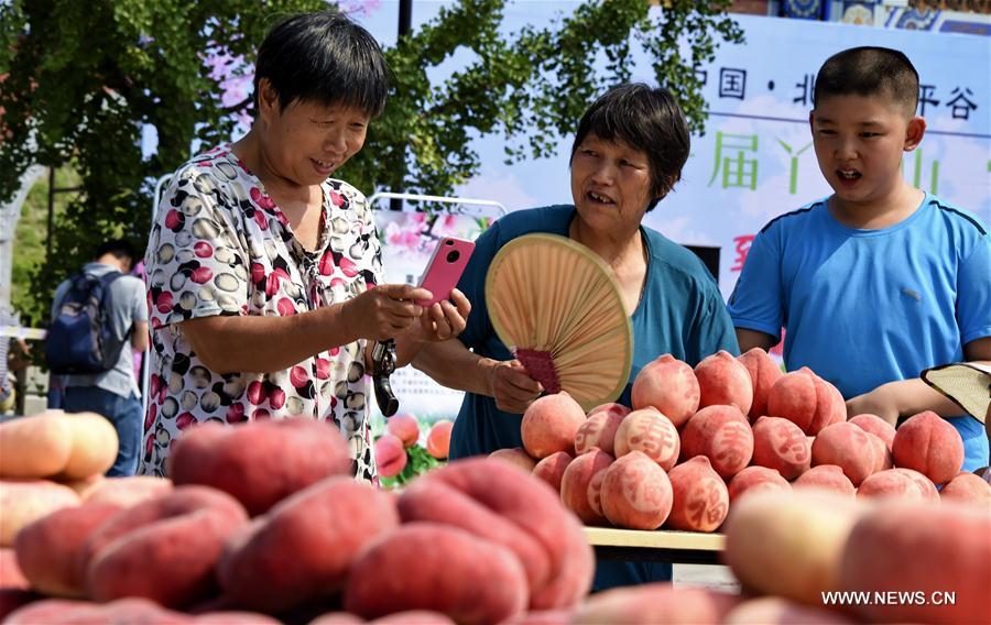CHINA-BEIJING-PINGGU-PEACH FAIR (CN) 