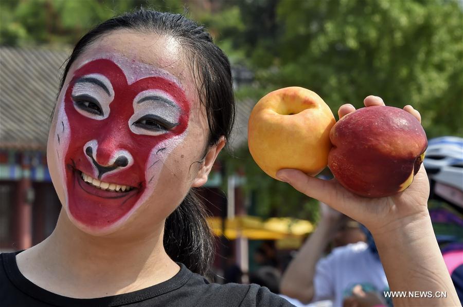 CHINA-BEIJING-PINGGU-PEACH FAIR (CN) 