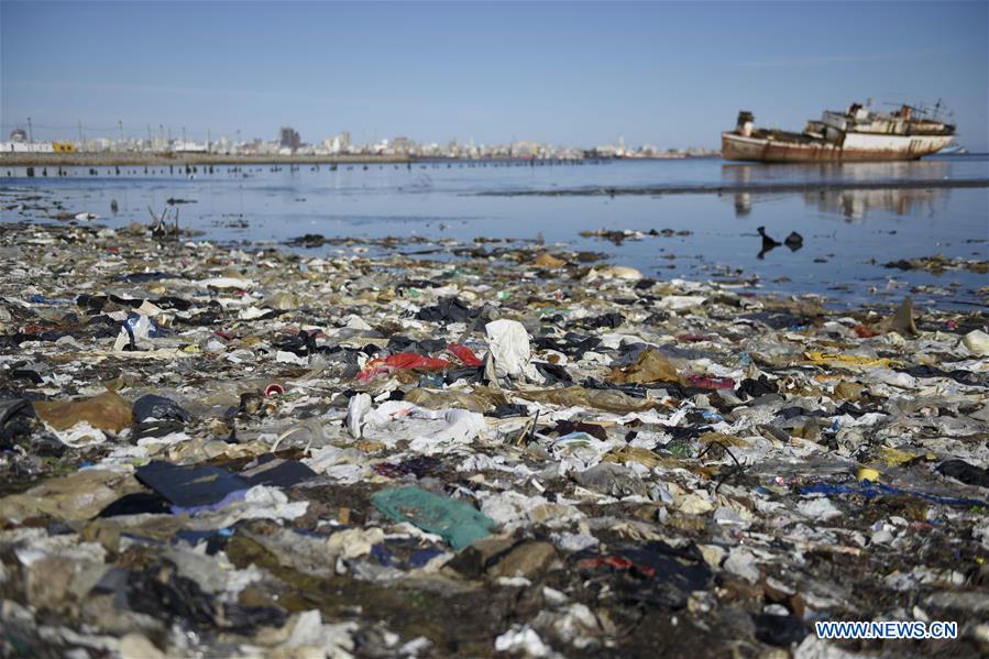 Discarded plastic bags remain stuck on a port bank in Montevideo, capital of Uruguay, on July 28, 2016. Discarded plastic bags remain stuck on a port bank in Montevideo, capital of Uruguay, on July 28, 2016.