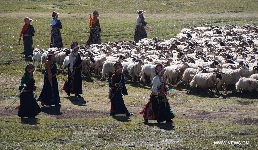 CHINA-SICHUAN-SHIQU-TENT FESTIVAL (CN)