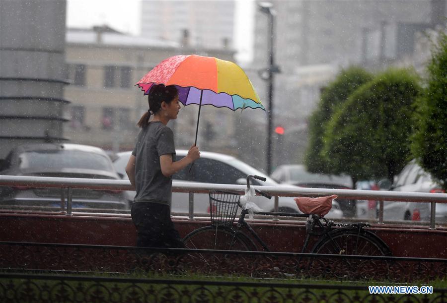 CHINA-HARBIN-RAIN (CN)