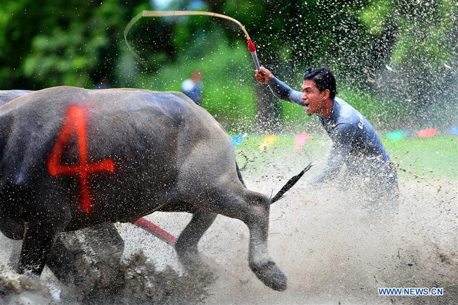 THAILAND-CHONBURI-BUFFALO RACING