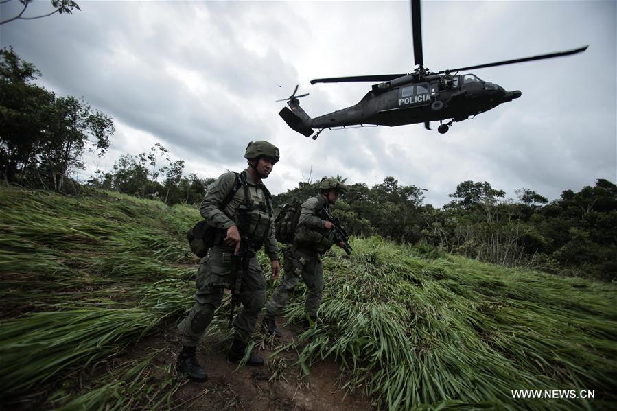 Members of the jungle group of the Counter-narcotics Police take action in a rural zone of Calamar Municipality, Guaviare Department, Colombia, on Aug. 2, 2016. 