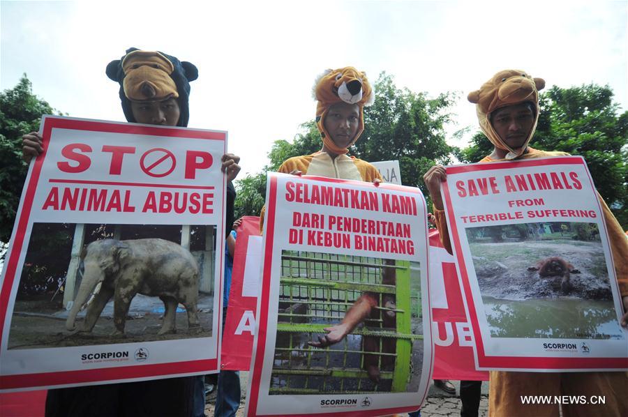 INDONESIA-JAKARTA-ANIMAL ABUSE-PROTEST