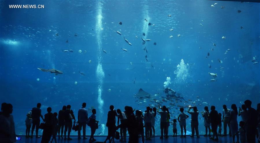 CHINA-JIANGXI-AQUARIUM (CN)