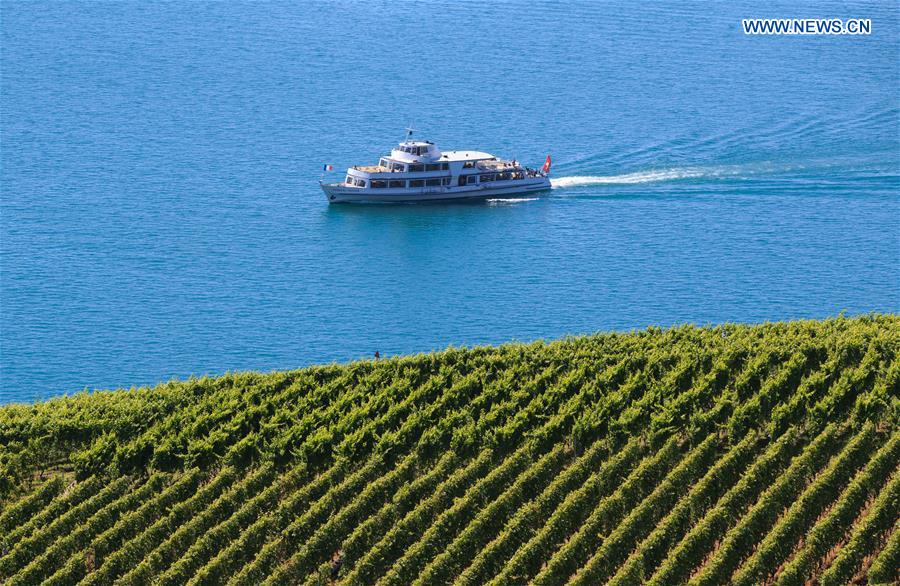 SWITZERLAND-LAVAUX-SUMMER
