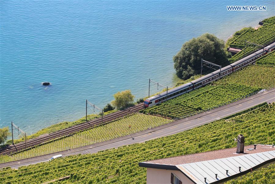 SWITZERLAND-LAVAUX-SUMMER