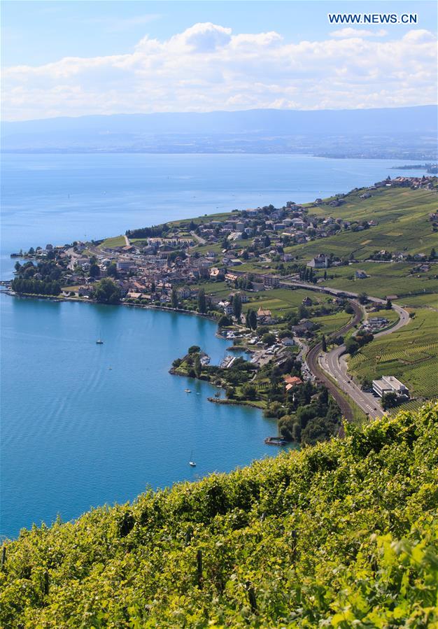 SWITZERLAND-LAVAUX-SUMMER