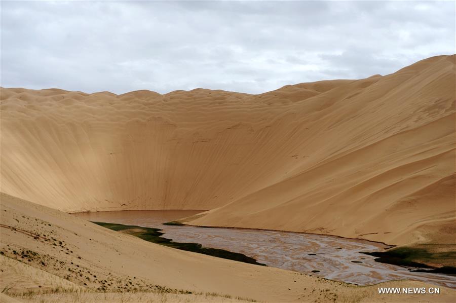 It is home to a wide variety of rare and endangered animals. It is home to a wide variety of rare and endangered animals.