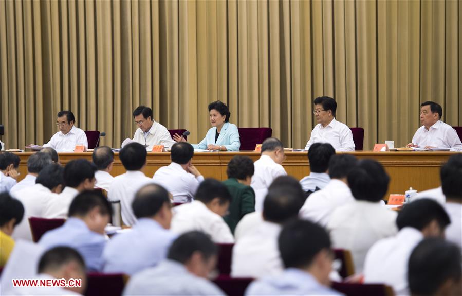 Chinese Vice Premier Liu Yandong (C, Rear) speaks at a national meeting on health held from Aug. 19 to 20 in Beijing, capital of China. (Xinhua/Xie Huanchi) 