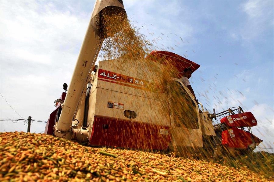 #CHINA-END OF SUMMER-AGRICULTURE(CN)