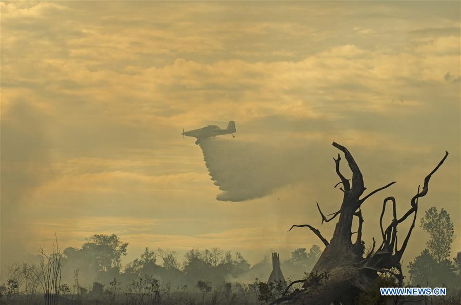 INDONESIA-RIAU-FOREST FIRE