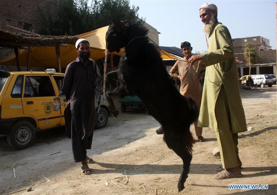 PAKISTAN-PESHAWAR-EID AL-ADHA