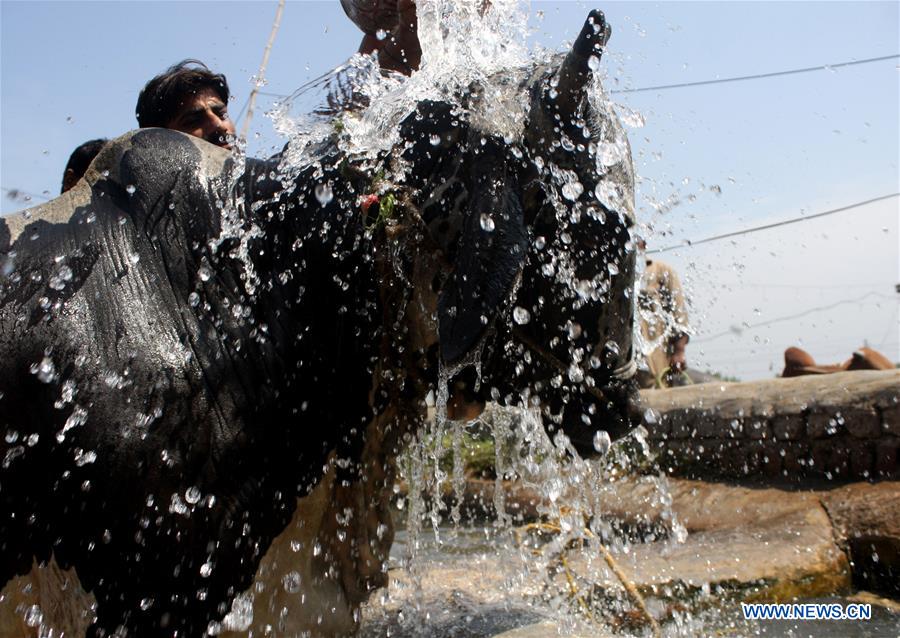 PAKISTAN-PESHAWAR-EID AL-ADHA