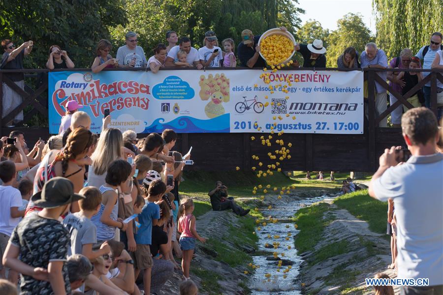 HUNGARY-SZENTENDRE-RUBBER DUCK RACE