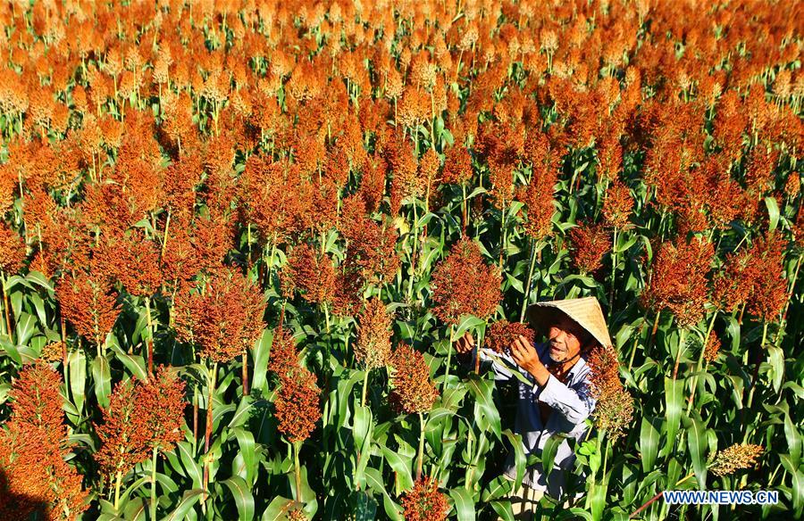 XINHUA PHOTO WEEKLY CHOICES