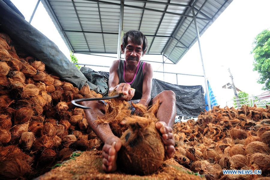 THAILAND-BANGKOK-COCONUT