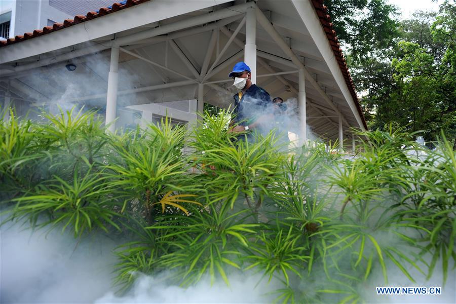 SINGAPORE-ZIKA-PREGNANT WOMAN-FIRST CASE