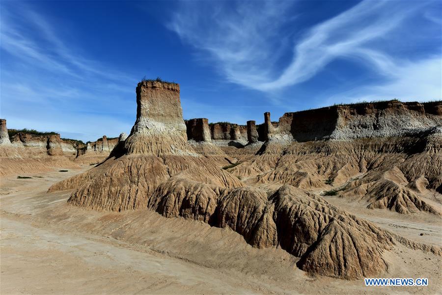 CHINA-SHANXI-DATONG-"SOIL FOREST" (CN) 