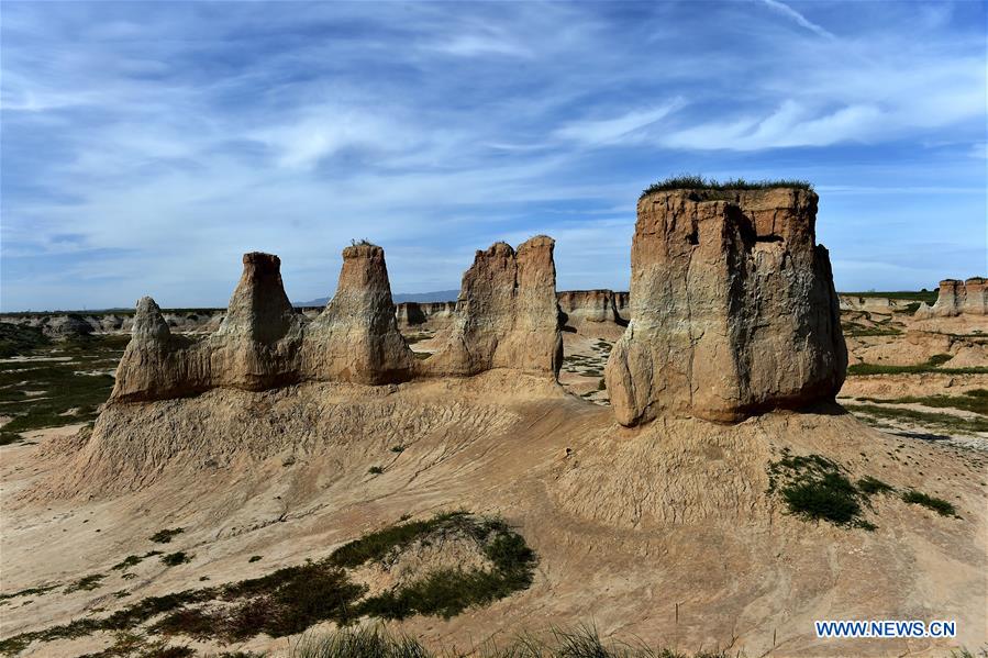 CHINA-SHANXI-DATONG-"SOIL FOREST" (CN)