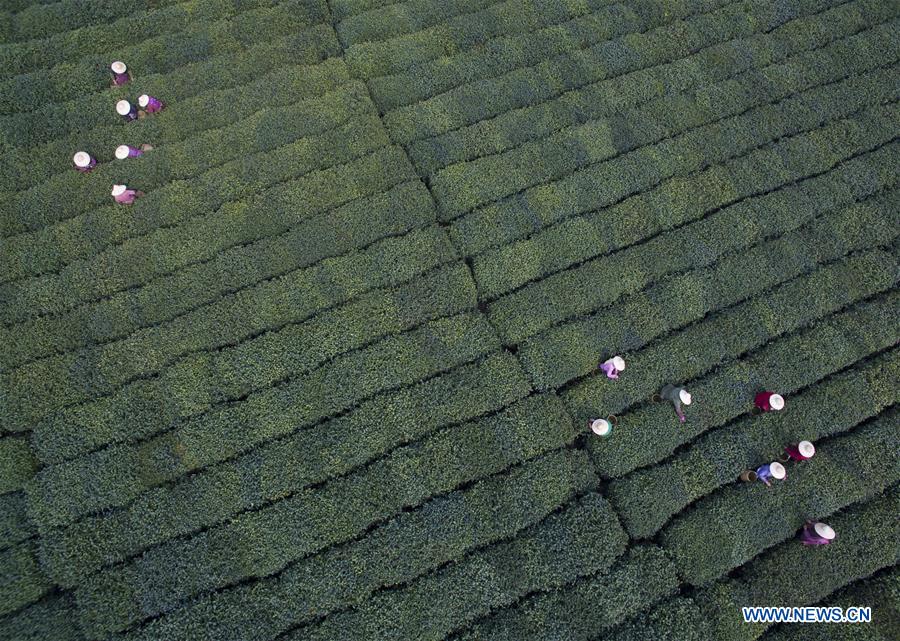 (G20 SUMMIT)CHINA-HANGZHOU-DAILY LIFE (CN)