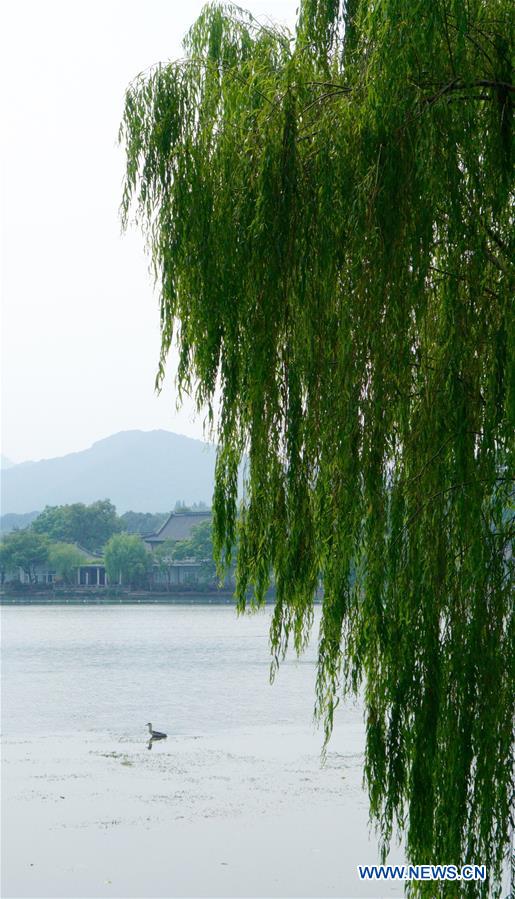 (G20 SUMMIT)CHINA-HANGZHOU-G20-OPENING (CN)