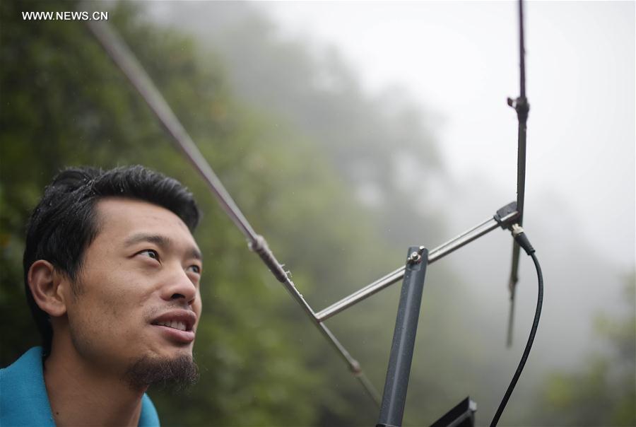 CHINA-CHENGDU-GIANT PANDA-RETURN TO WILD-TRAINING (CN)