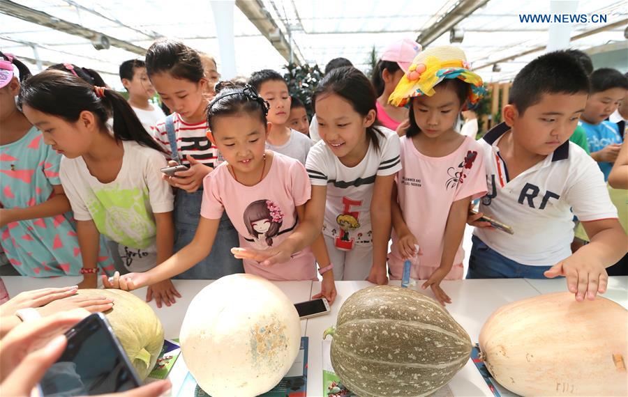 #CHINA-QINGDAO-CHILDREN-AGRICULTURAL DEMONSTRATION BASE-CLASS(CN)