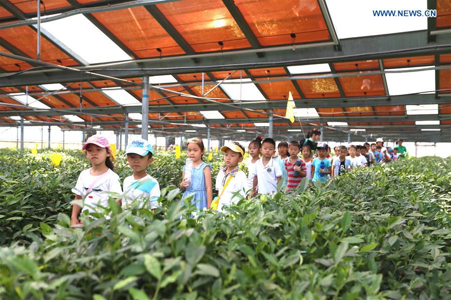 #CHINA-QINGDAO-CHILDREN-AGRICULTURAL DEMONSTRATION BASE-CLASS(CN)