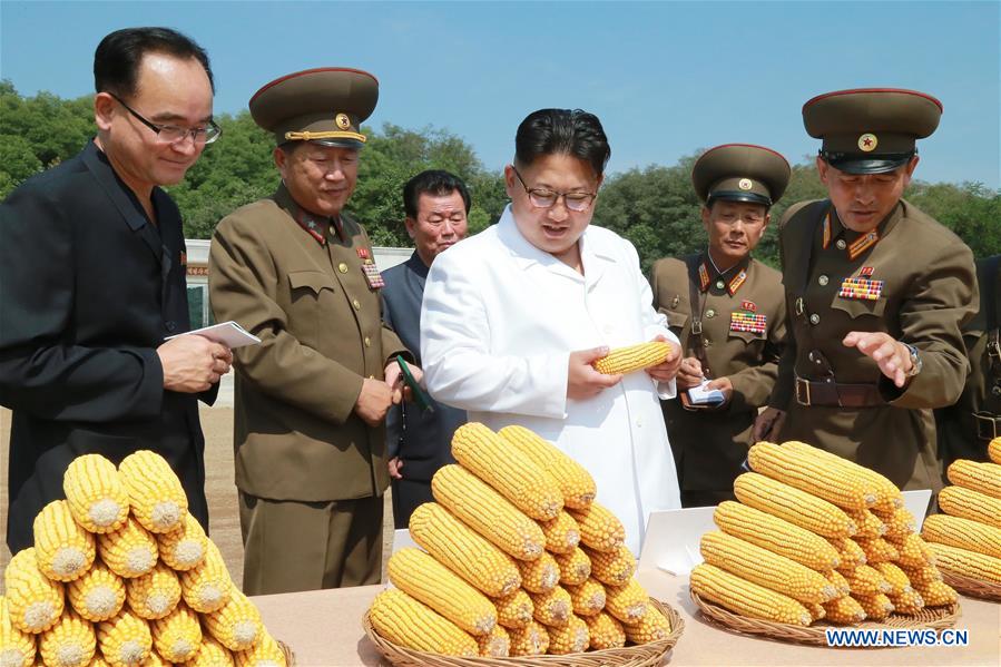 DPRK-FARM-KIM JONG UN-FIELD GUIDANCE 