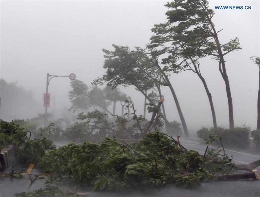 #CHINA-TAIWAN-PINGTUNG-TYPHOON MERANTI (CN)
