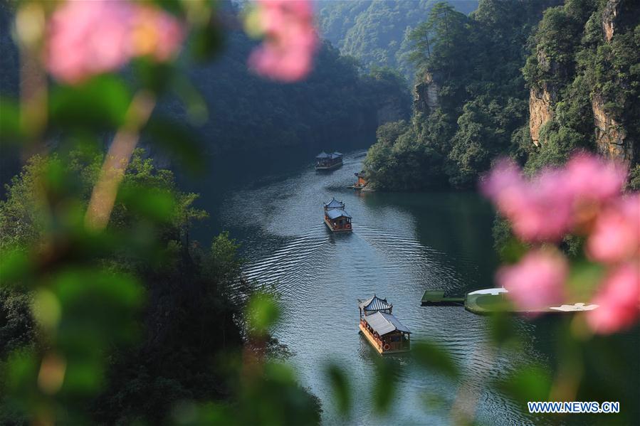 #CHINA-HUNAN-ZHANGJIAJIE-SCENERY (CN)